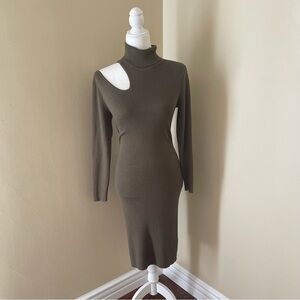Venus Turtleneck Sweater Dress